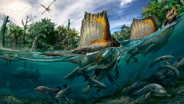 La nueva reconstrucción de Spinosarurus aegypticus. Imagen: National Geographic