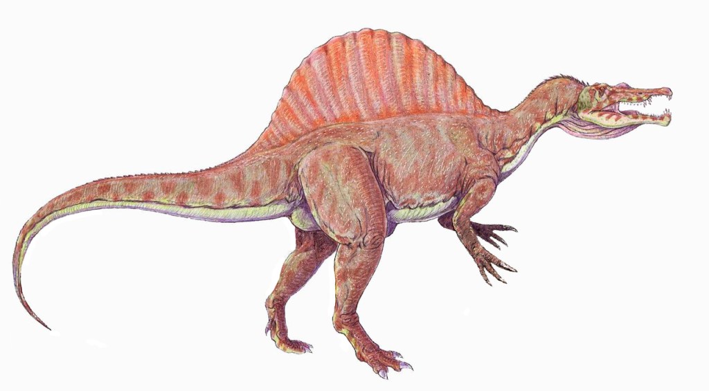 Reconstrucción de Spinosaurus aegypticus
