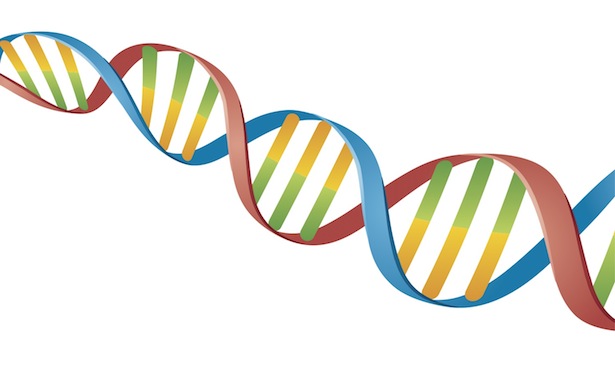 DNA