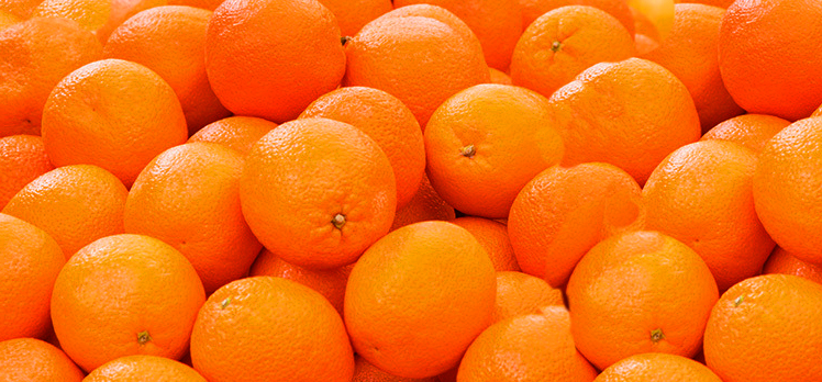 Los naranjos de Bernal y el «intercambio&nbsp;colombino»