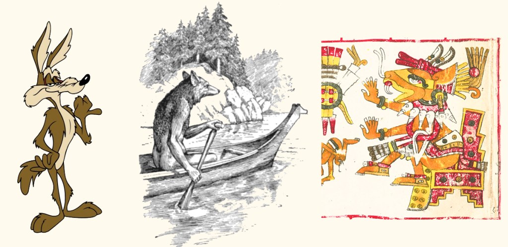Wile E. Coyote. Representación antropomórfica de Coyote de la mitologia de las culturas nativas de Norteamérica. Ilustración de Huehuecóyotl en el códice Borgia
